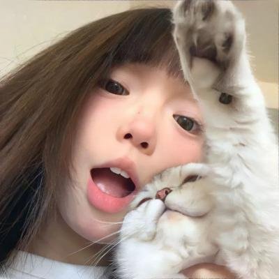 宠物联盟